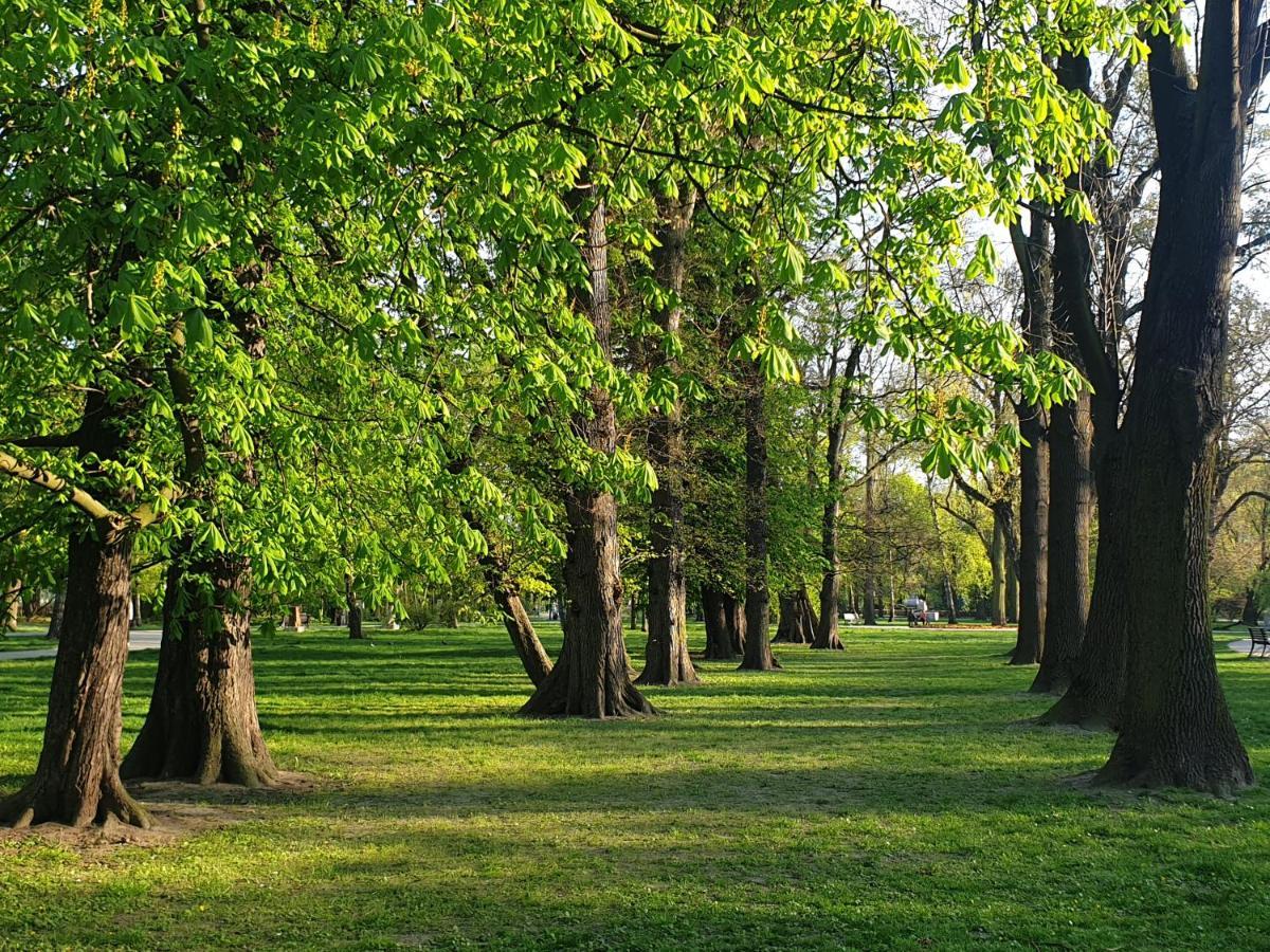 Apartament Park Lane Lea *